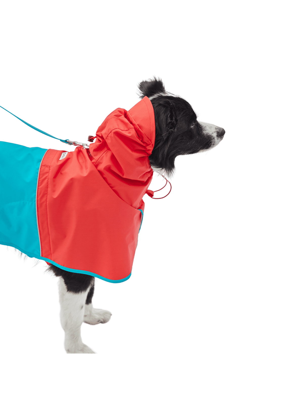 iCandor | Earth 冒險狗狗雨衣 - RUFF & FETCH