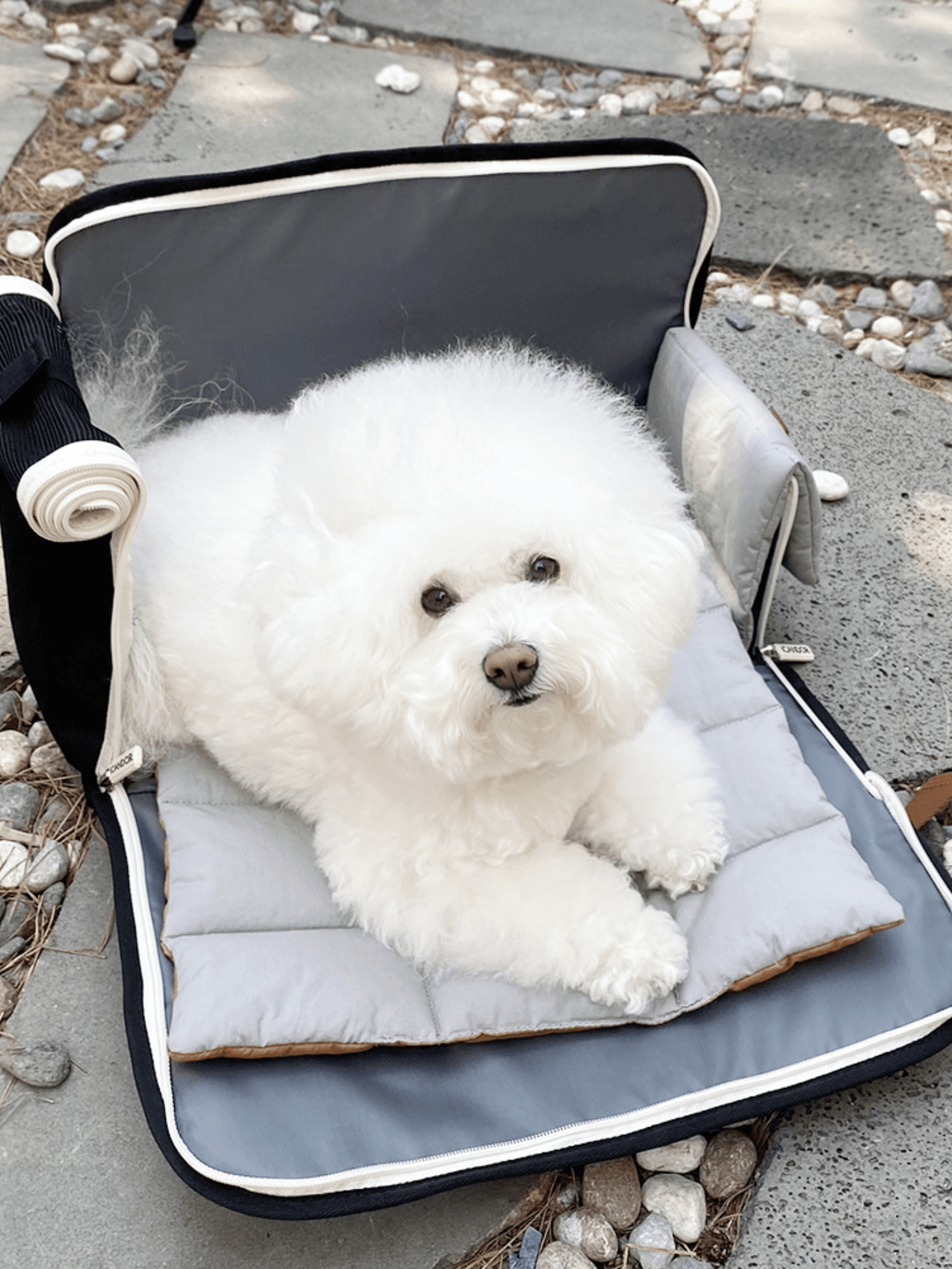 iCandor | 包內睡墊 ( Peek-a-boo 適用) - RUFF & FETCH