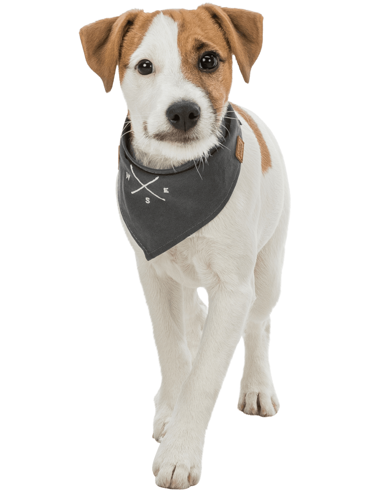 Trixie | 水手風風向領巾 保育海洋系列 BE NORDIC - RUFF & FETCH