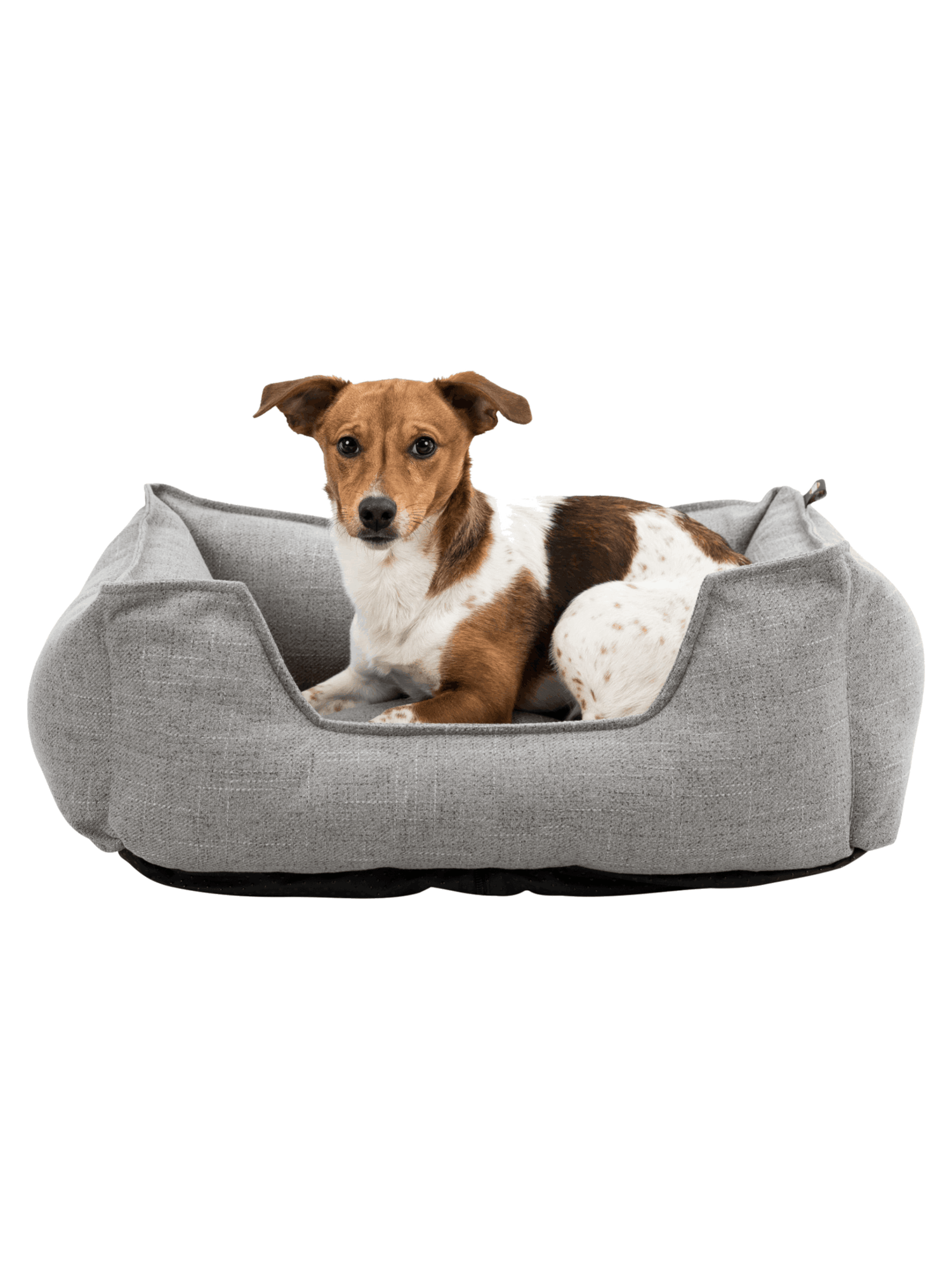Trixie | Talis 窩床 - RUFF & FETCH