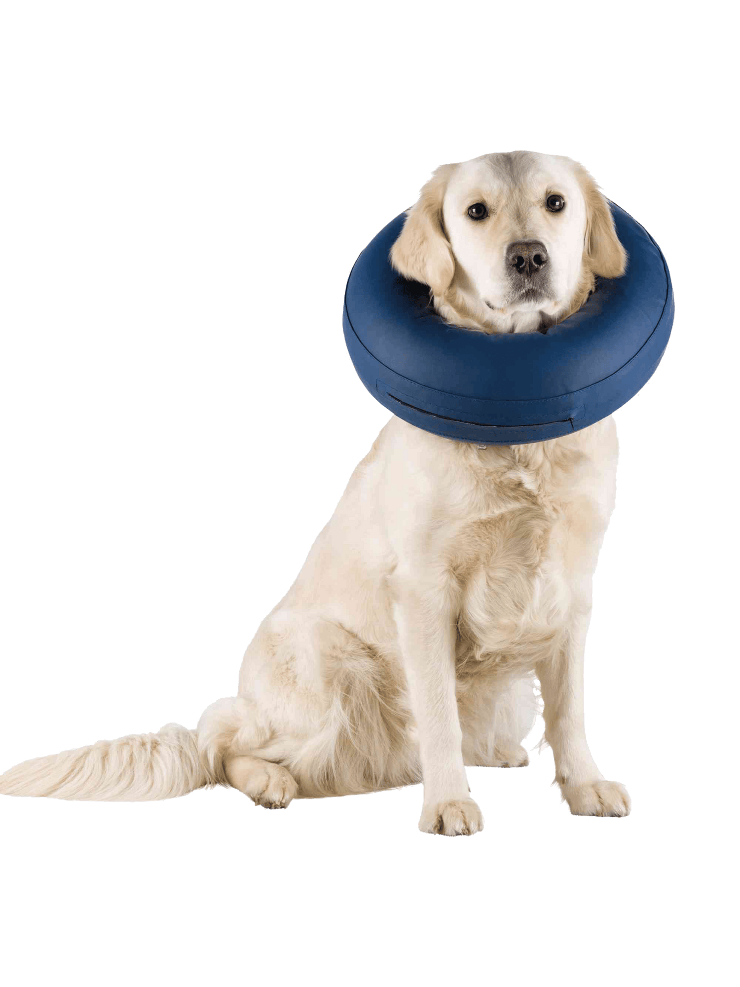 Trixie | 充氣保護頭套 - RUFF & FETCH