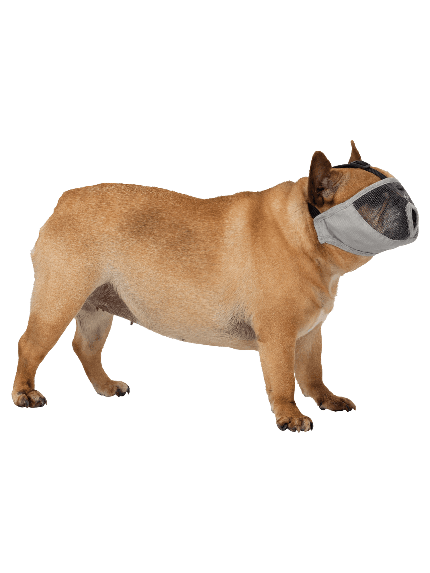 Trixie | 透氣口罩 短鼻品種專用 - RUFF & FETCH
