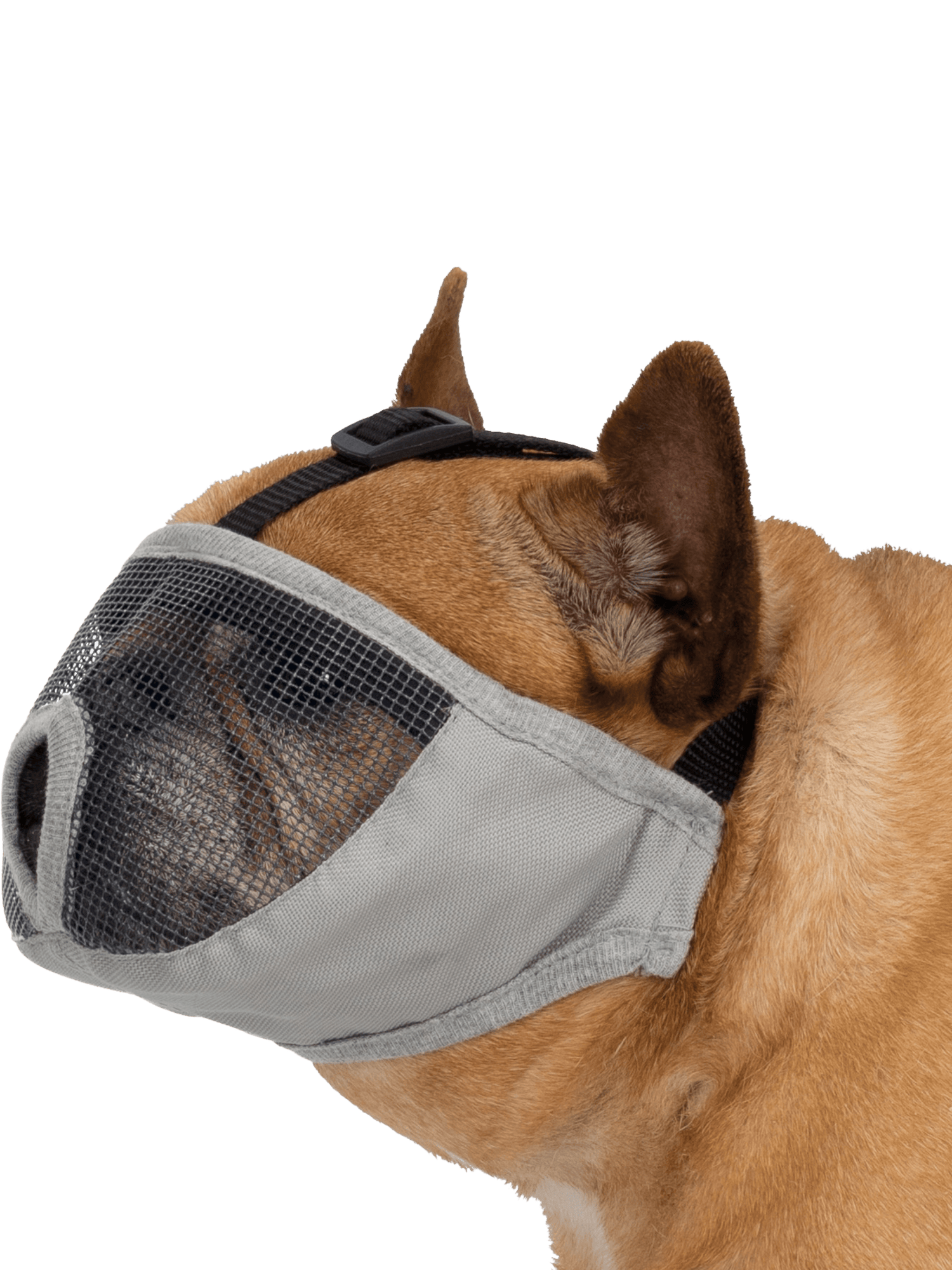Trixie | 透氣口罩 短鼻品種專用 - RUFF & FETCH
