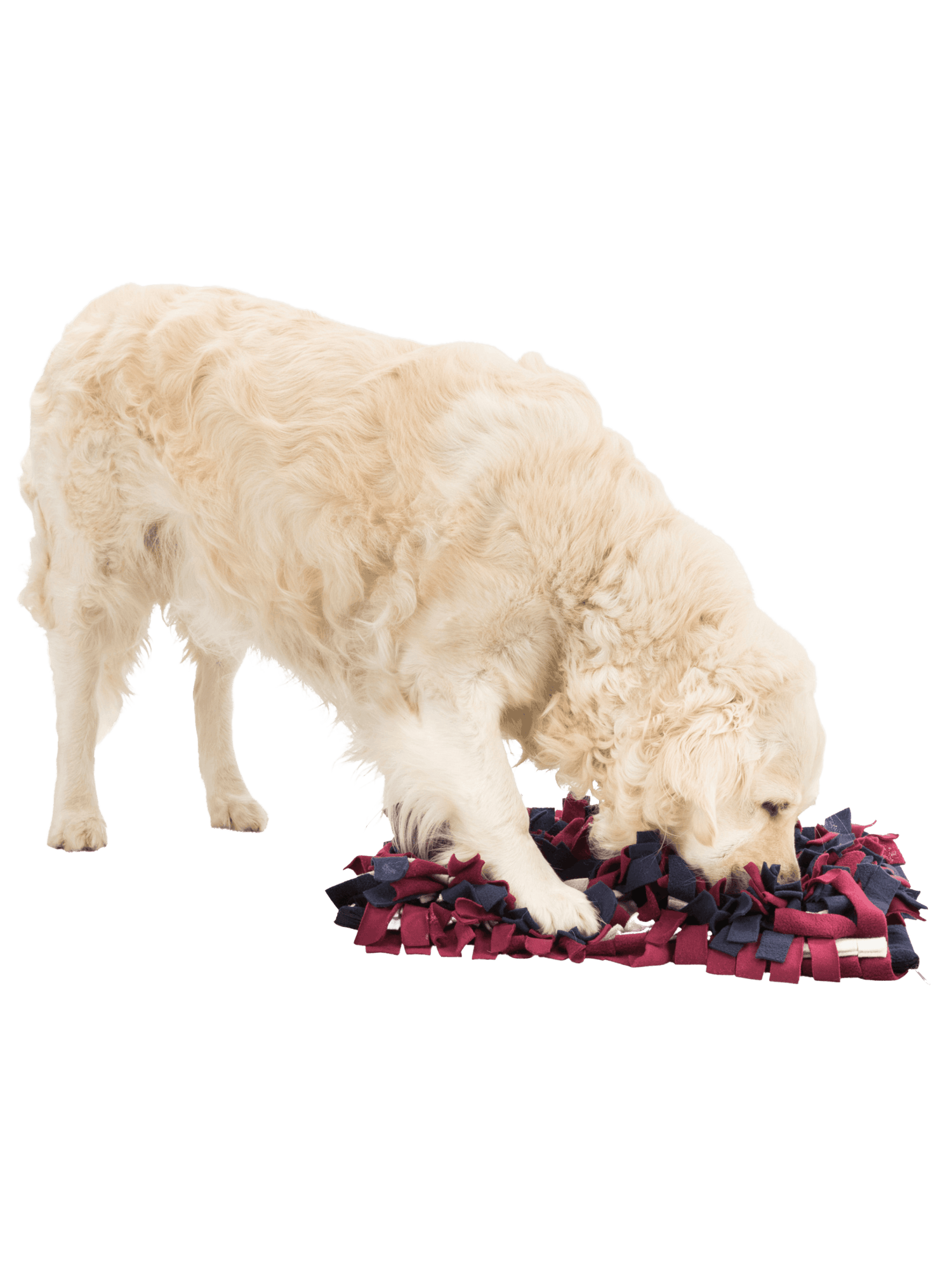 Trixie | 狗狗腦力策略遊戲 探索地氈 50cm × 34cm - RUFF & FETCH