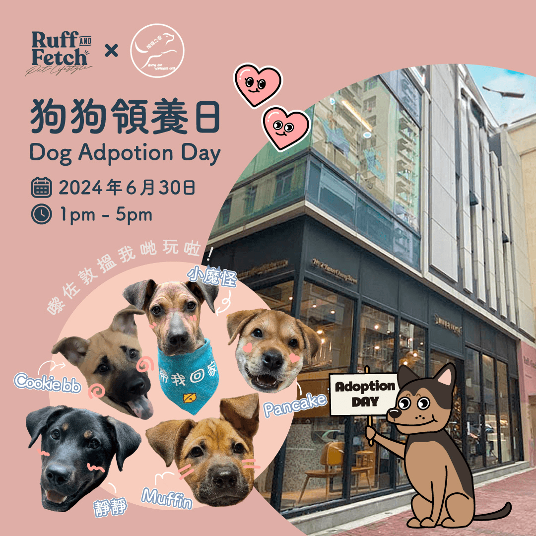 ❖浪浪不再 拉夫狗狗領養日 🐕 ❖ - RUFF & FETCH