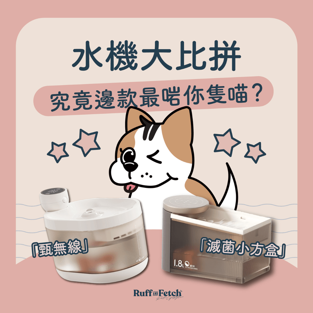 ❖水機大比拼 究竟邊款最啱你隻喵？❖ - RUFF & FETCH