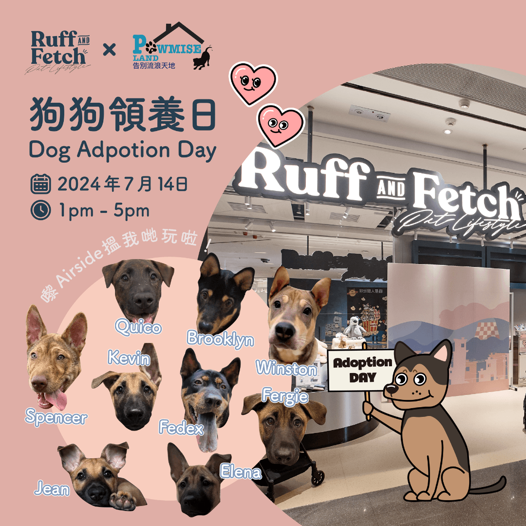 ❖告別流浪天地 狗狗領養日❖ - RUFF & FETCH