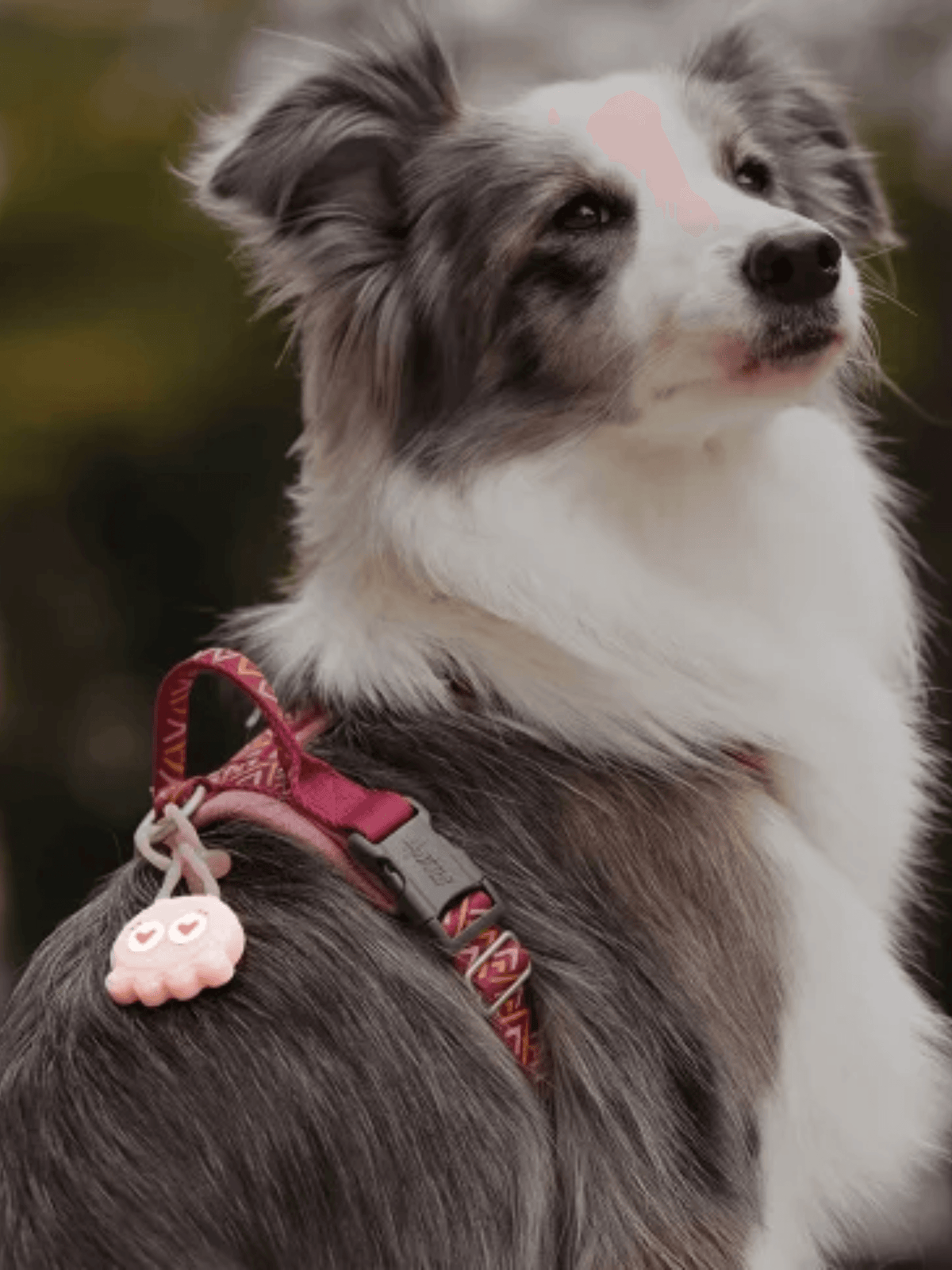 LaRoo｜糖果八爪鱼吊墜 - RUFF & FETCH