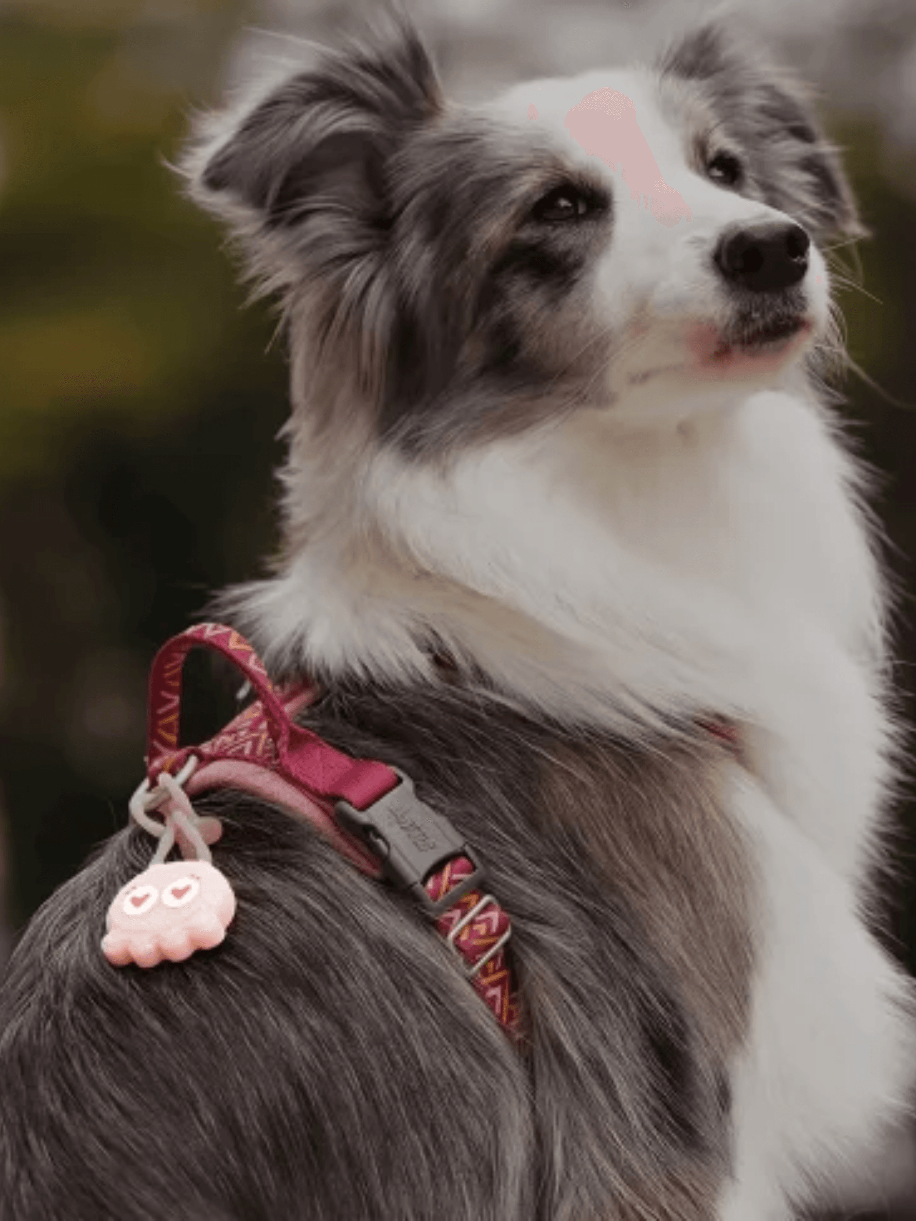 LaRoo｜糖果八爪鱼吊墜 - RUFF & FETCH