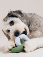Roika | GORI 橡膠玩具 - RUFF & FETCH