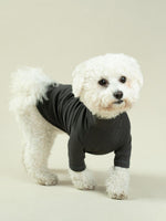 ALQO WASI | 舒適優質有機全棉 T-Shirt - RUFF & FETCH
