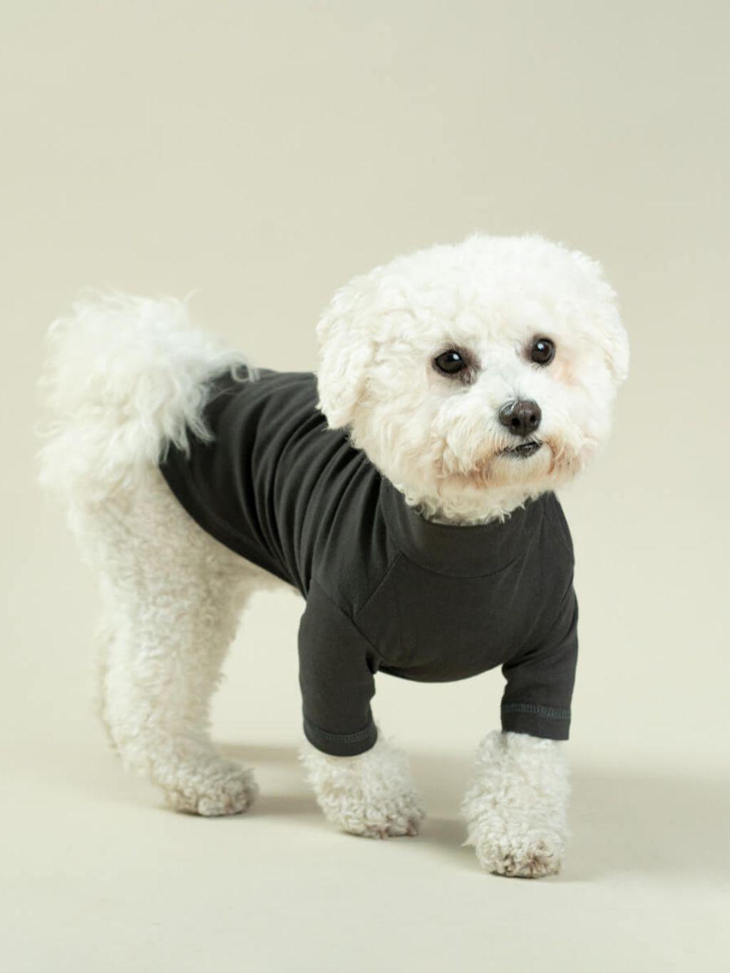 ALQO WASI | 舒適優質有機全棉 T-Shirt - RUFF & FETCH
