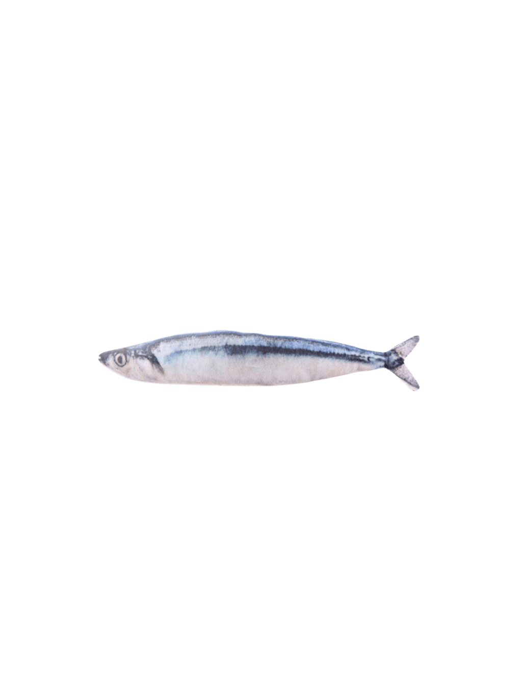 Catwant | 100%貓薄荷秋刀魚 - RUFF & FETCH