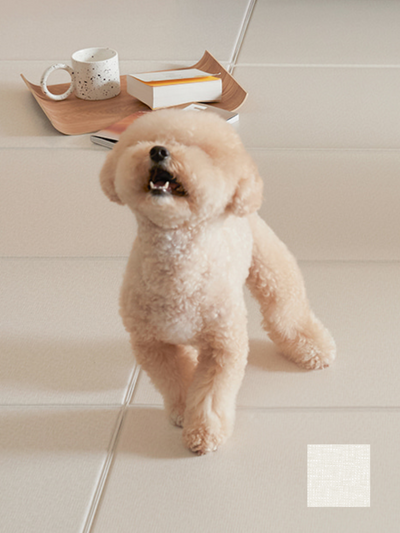 Pupping | 防水防滑寵物墊（摺款）