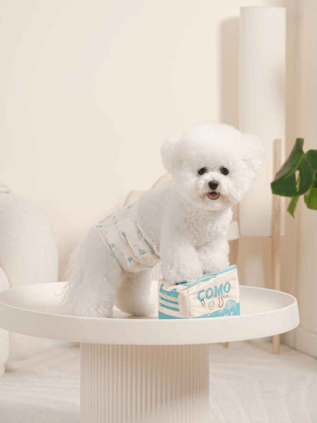 Como | 乾爽親膚狗尿片（男生專用） - RUFF & FETCH