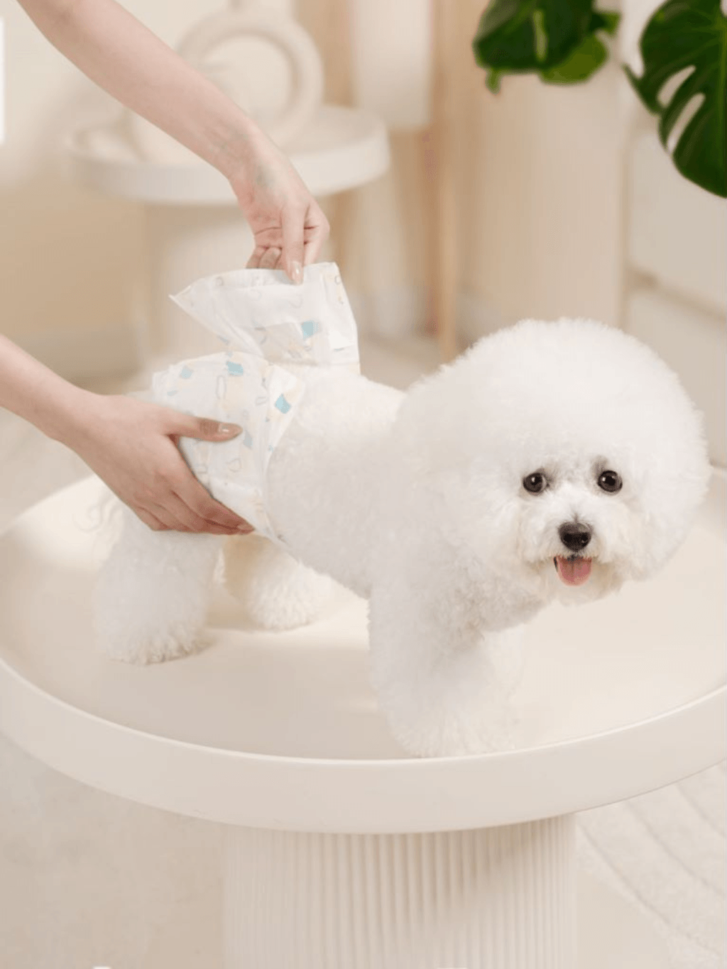 Como | 乾爽親膚狗尿片（男生專用） - RUFF & FETCH
