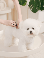 Como | 乾爽親膚狗尿片（男生專用） - RUFF & FETCH