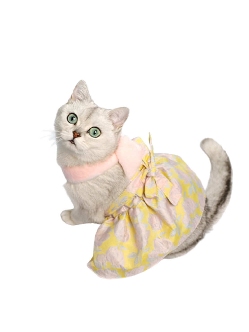 Supwow | 貓貓英式貴婦宴會裙
