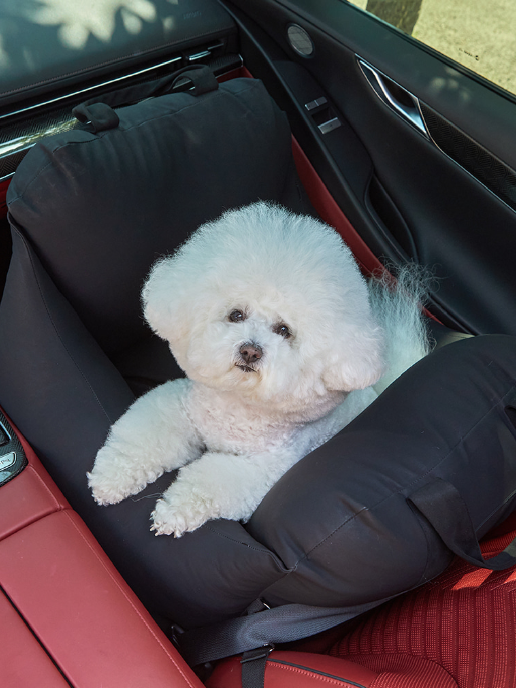 Barbichon | 優質寵物汽車座椅