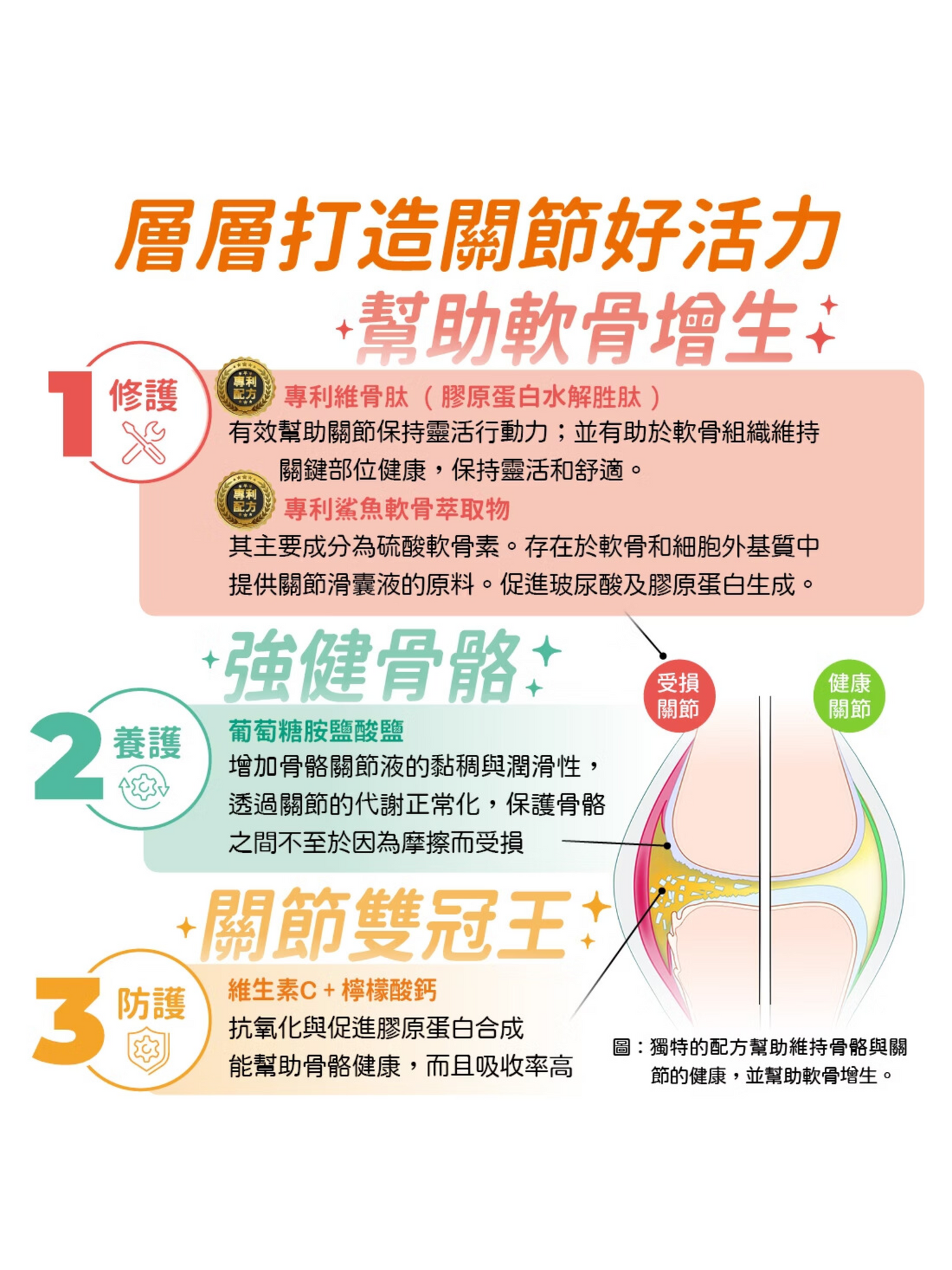 可蒂毛毛｜維骨肽EX 狗狗適用