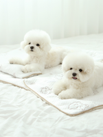 ITSDOG | 超涼感熊仔墊