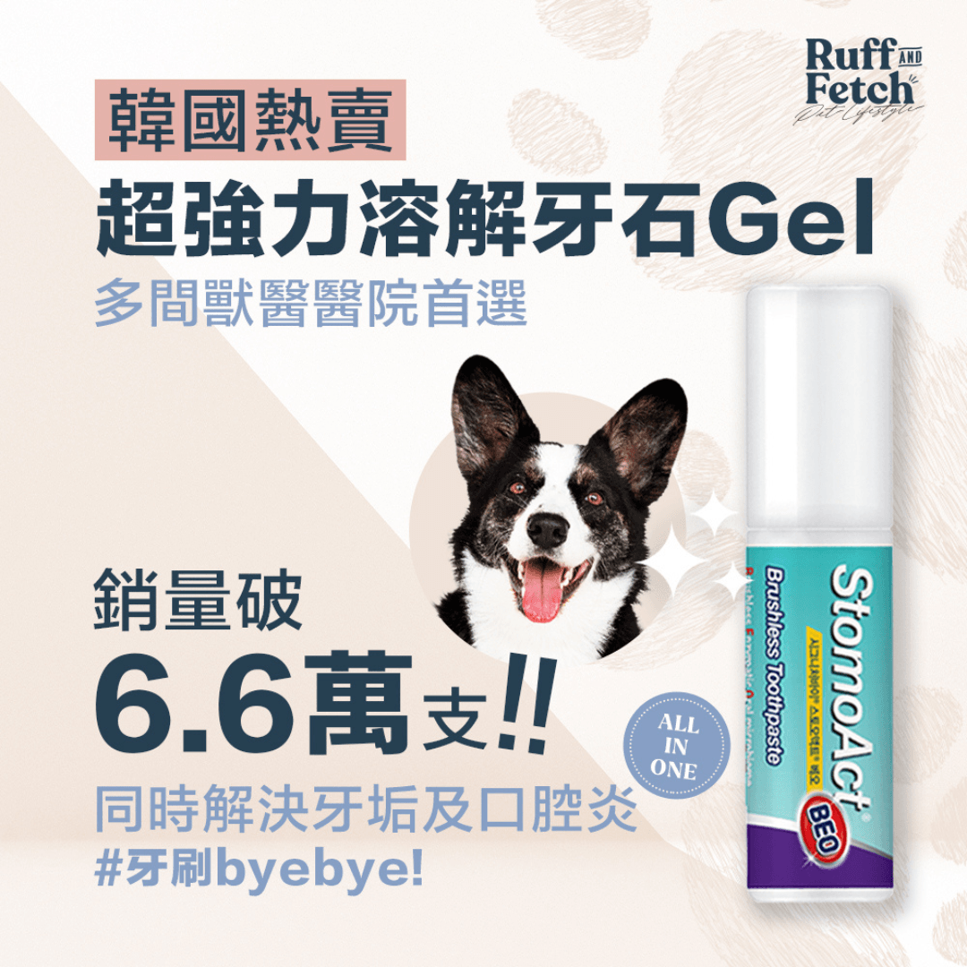 Signatureby｜韓國超強力溶解牙石 GEL - RUFF & FETCH