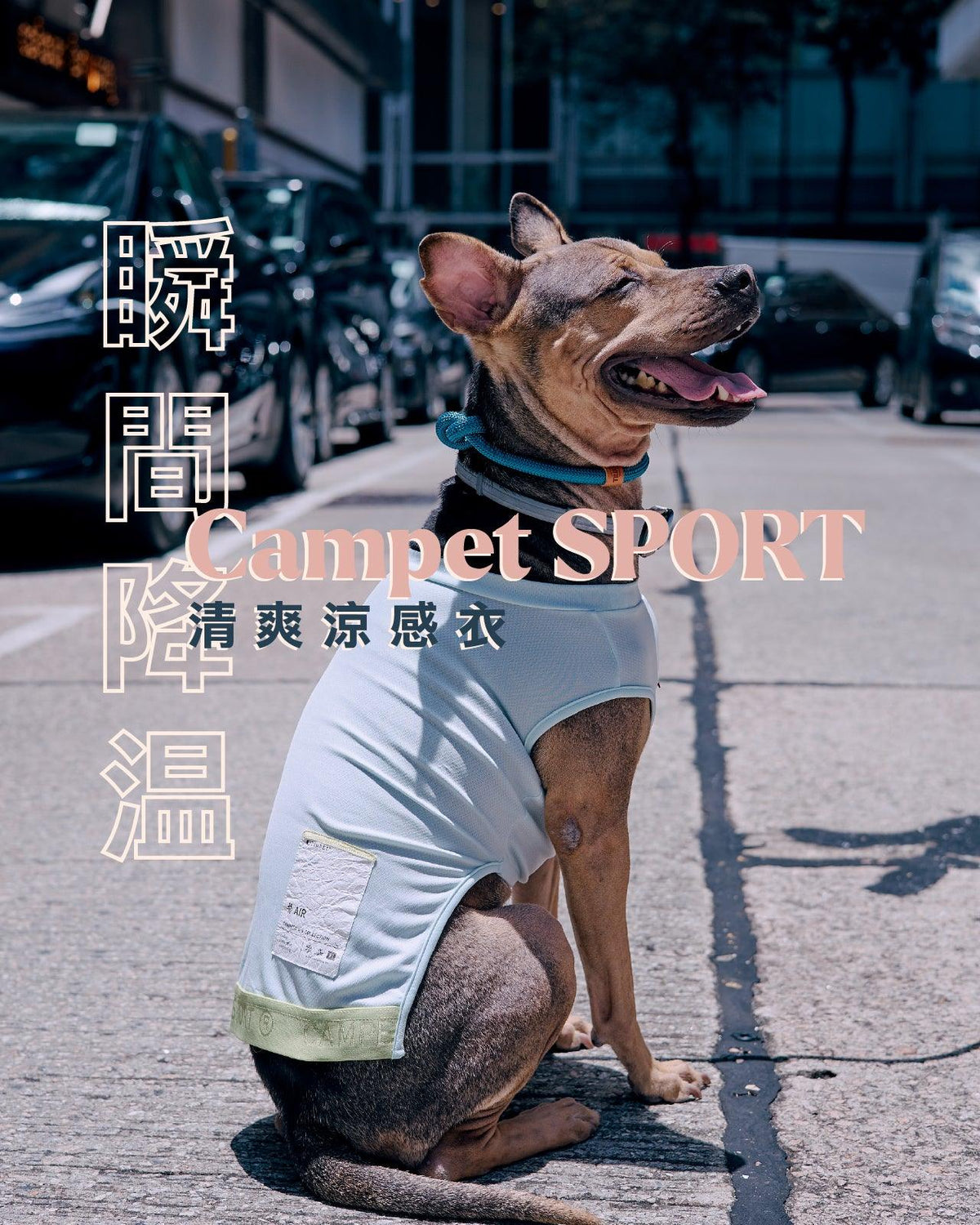 Campet | SPORT 清爽涼感衣 - RUFF & FETCH