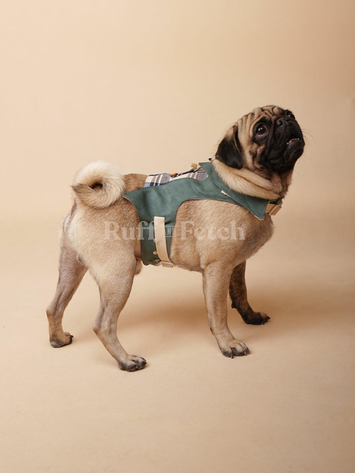 Among for Pets | 湖水綠格仔胸背衣 SU12 - RUFF & FETCH