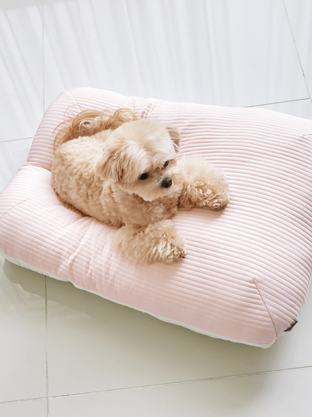 Barbichon | SOOK BED 敏感護理寵物床 - RUFF & FETCH