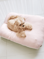 Barbichon | SOOK BED 敏感護理寵物床 - RUFF & FETCH