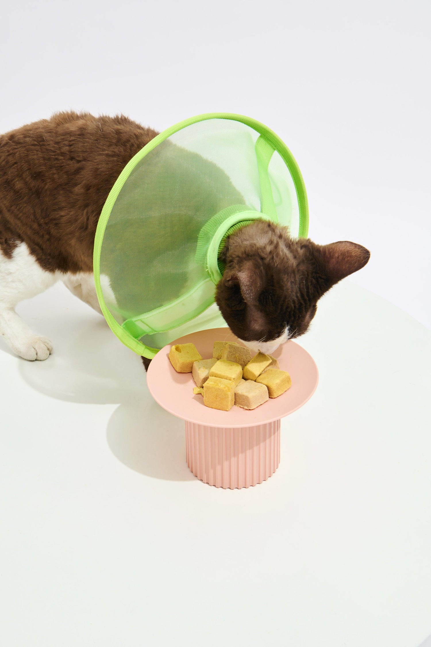 Purrre | 透氣網格頭套 - RUFF & FETCH