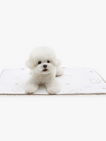ITSDOG | 超涼感熊仔墊