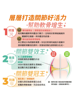 可蒂毛毛｜維骨肽EX 加強版 狗狗適用 - RUFF & FETCH