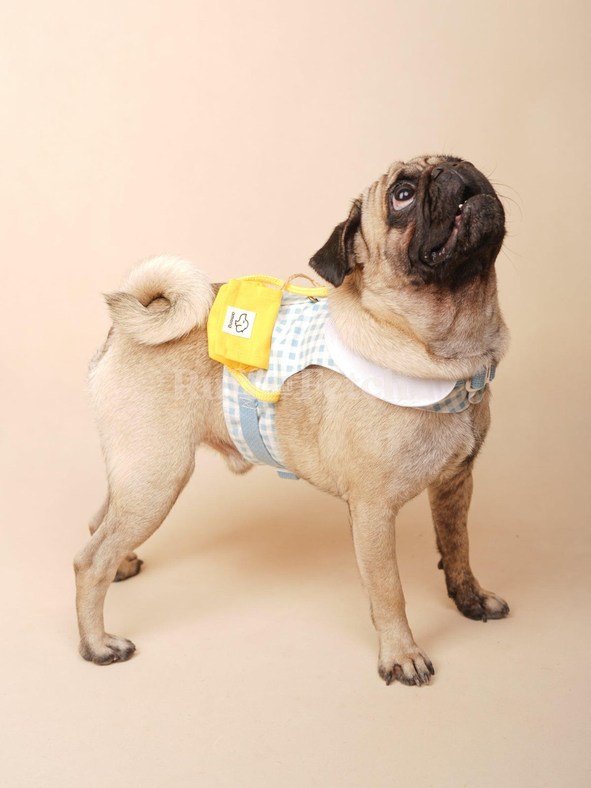 Among for Pets | 幼稚園粉藍制服 U3 - RUFF & FETCH