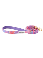 iCandor | Gentle Leash 牽繩 - RUFF & FETCH