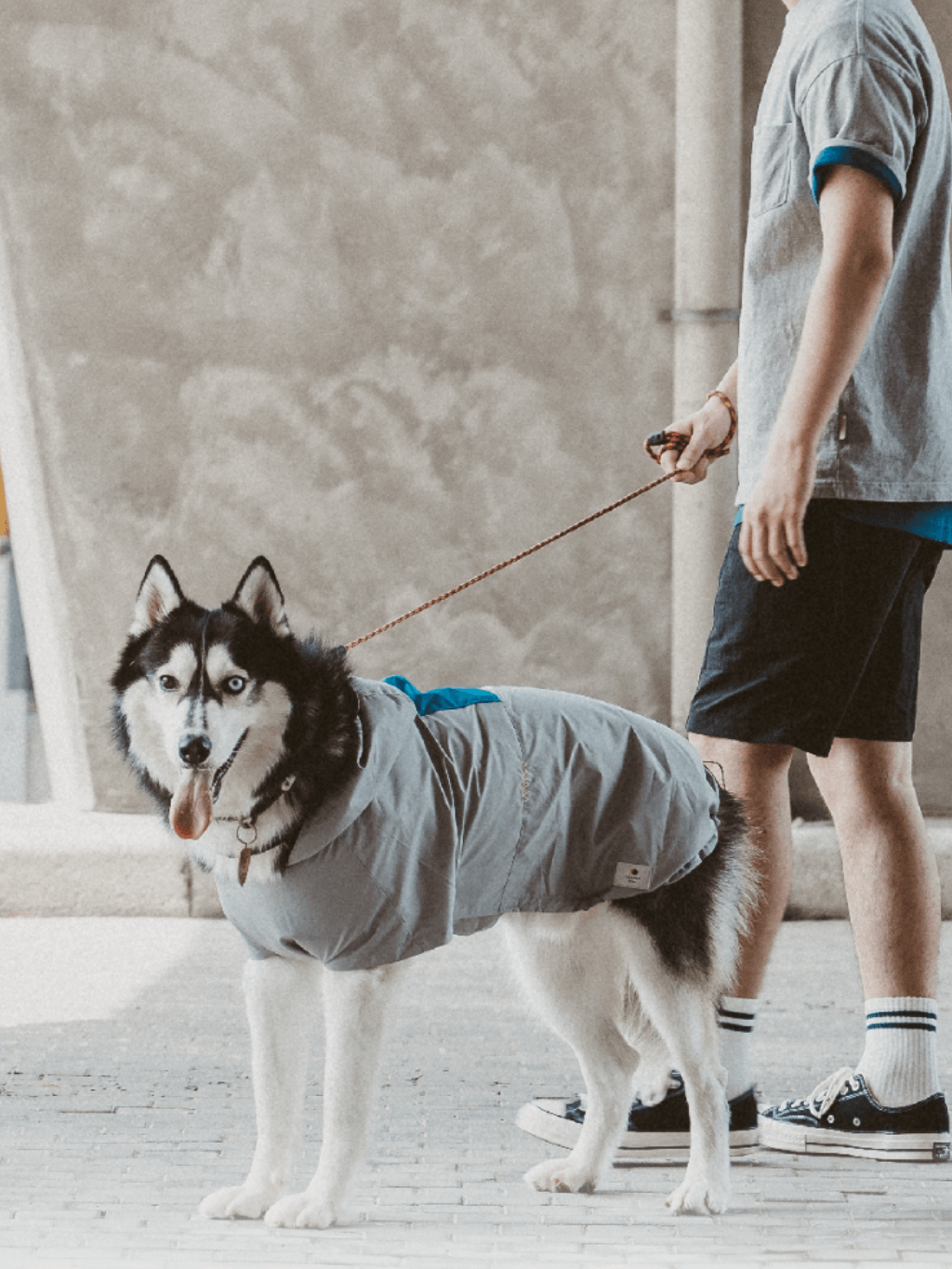 Campet | SPACE α 全境快穿衝鋒衣 - RUFF & FETCH