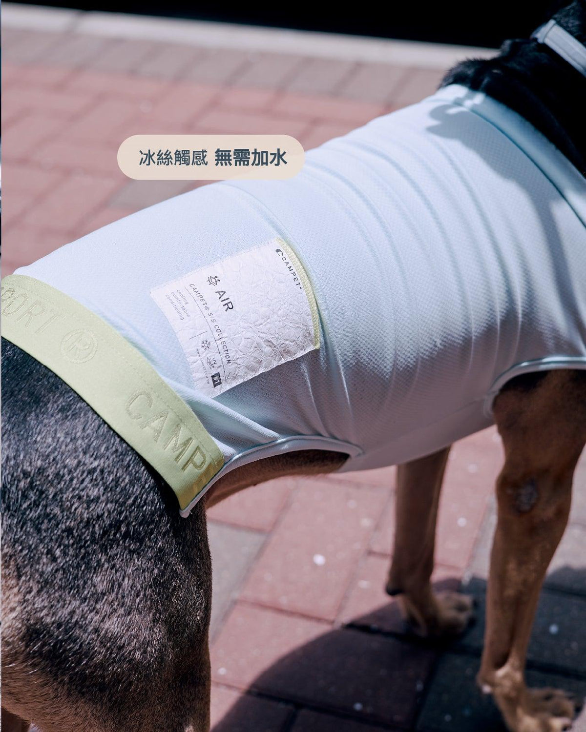 Campet | SPORT 清爽涼感衣 - RUFF & FETCH