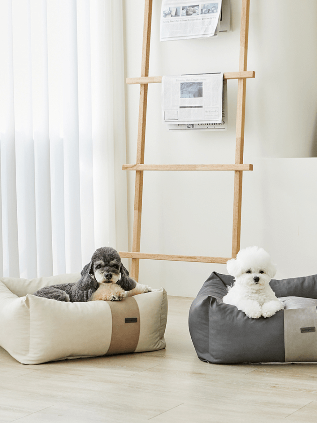 Barbichon | BUMPER 寵物窩 - RUFF & FETCH