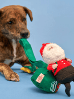 Furryfolks | 聖誕老人藏食玩具 - RUFF & FETCH