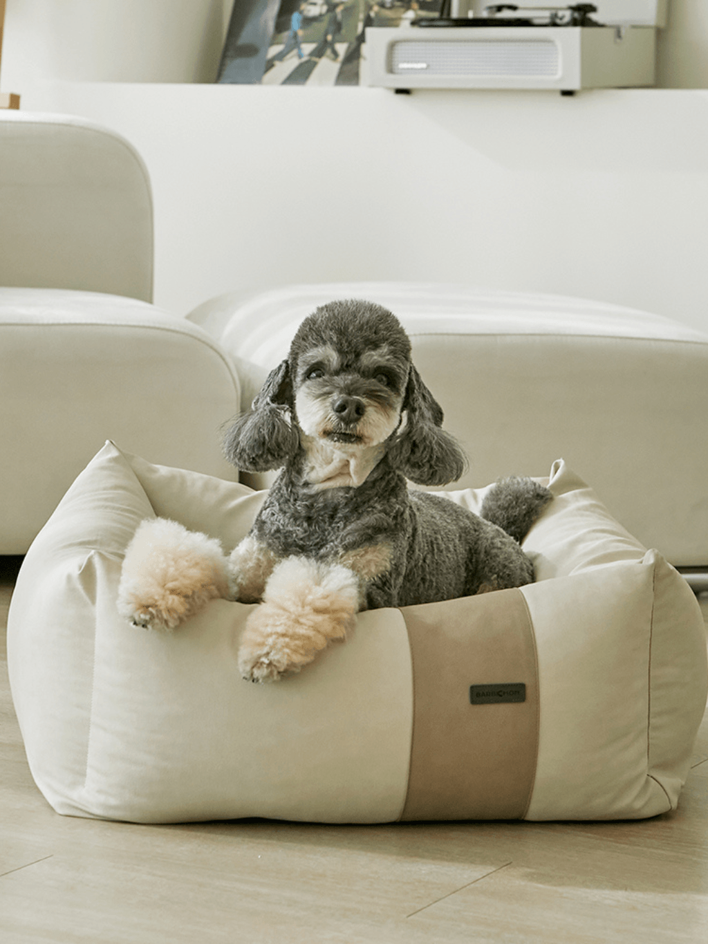 Barbichon | BUMPER 寵物窩 - RUFF & FETCH
