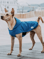 Campet | SPACE α 全境快穿衝鋒衣 - RUFF & FETCH