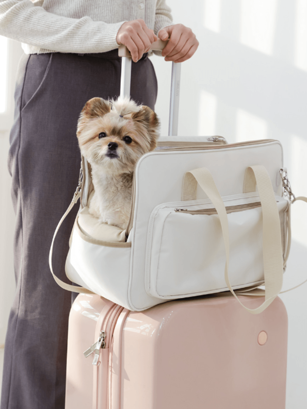 Pupping｜Every Pet 寵物袋 - RUFF & FETCH