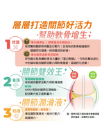 可蒂毛毛｜維骨肽EX 貓貓適用 - RUFF & FETCH
