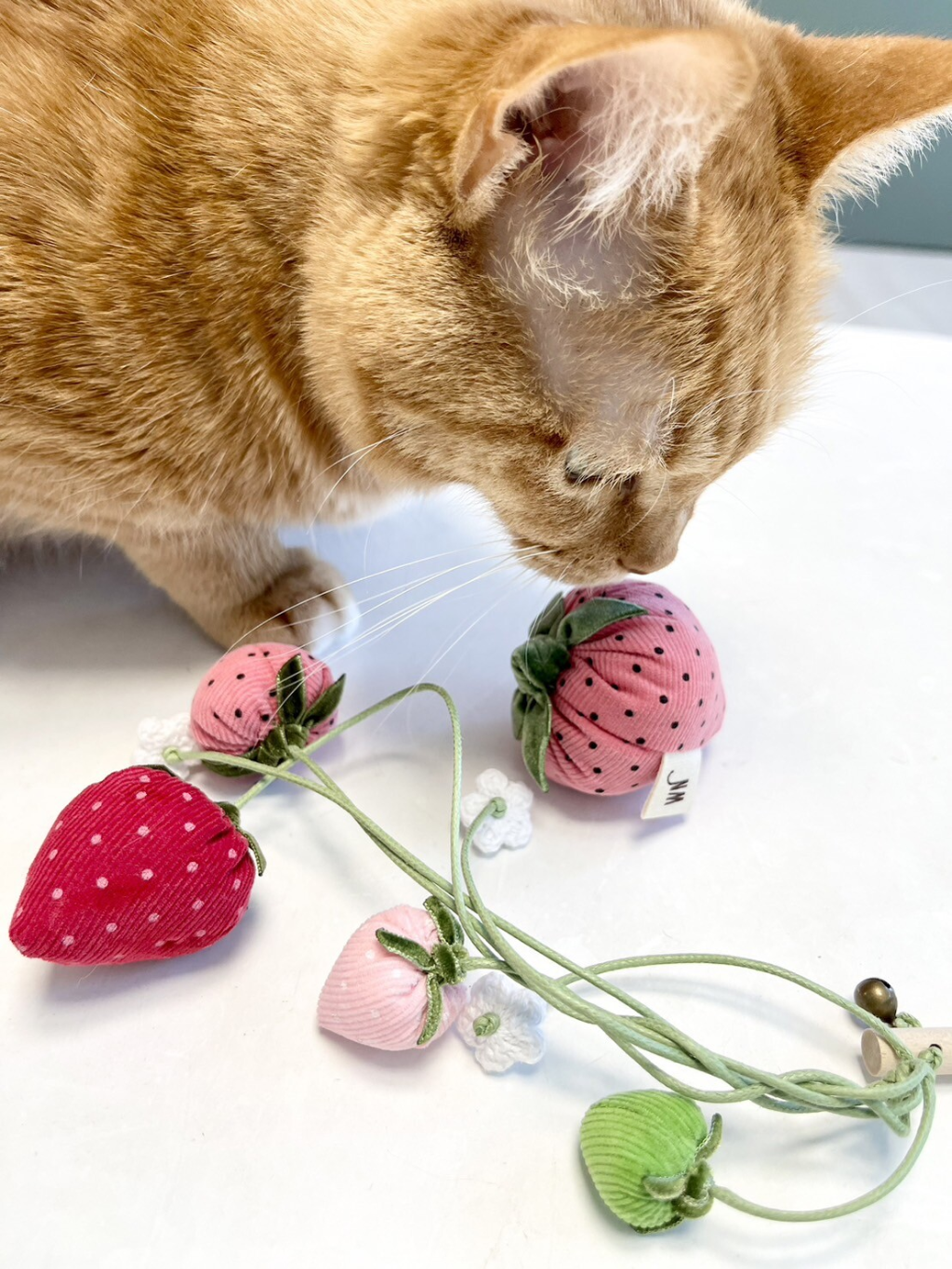 Wetnose | 草莓套裝 貓薄荷玩具