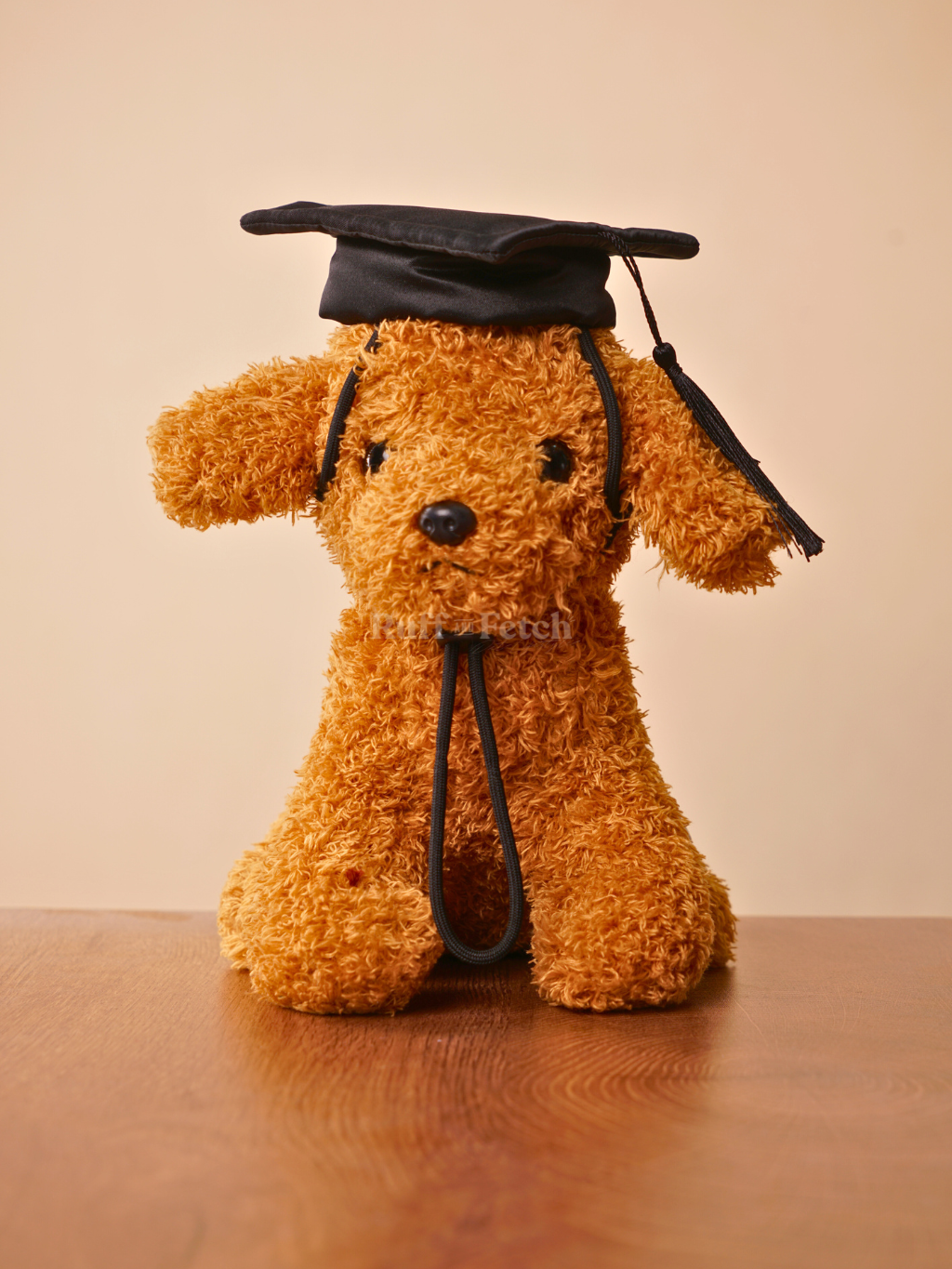 Momoji | Baccalaureate Regalia Cap 系列寵物帽