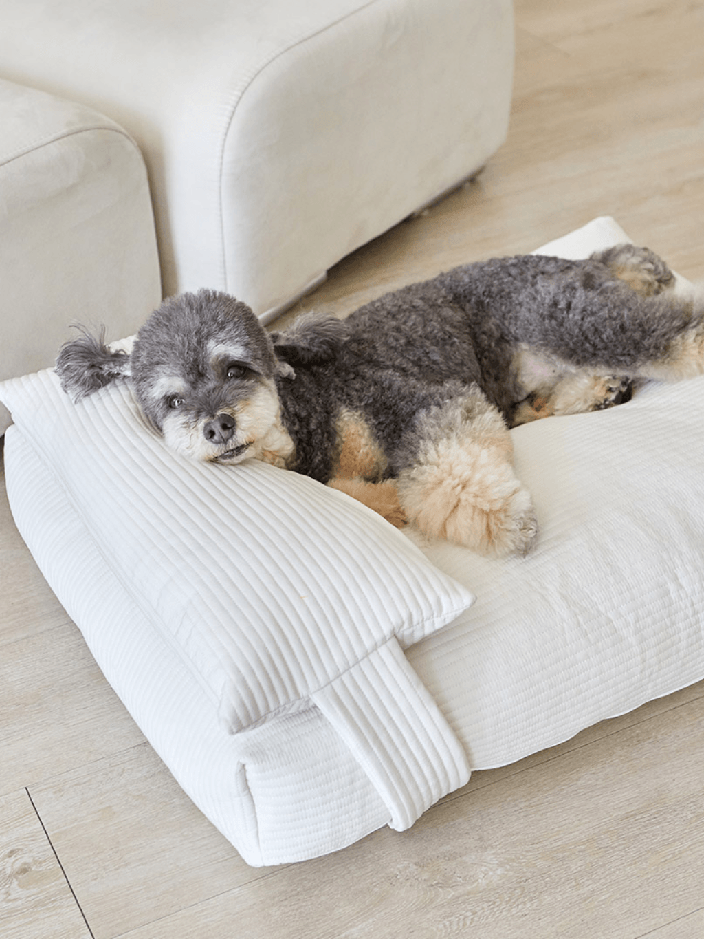 Barbichon | SNUG 寵物睡床 - RUFF & FETCH