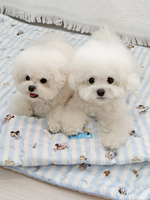 ITSDOG | 迪士尼系列凍墊