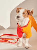 iCandor | Gentle Collar 狗狗項圈 - RUFF & FETCH