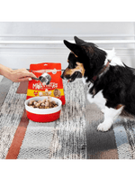 Stella & Chewy's | 乾糧伴侶 籠外鳳凰（雞肉配方） - RUFF & FETCH