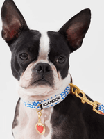 iCandor | Gentle Collar 狗狗項圈 - RUFF & FETCH